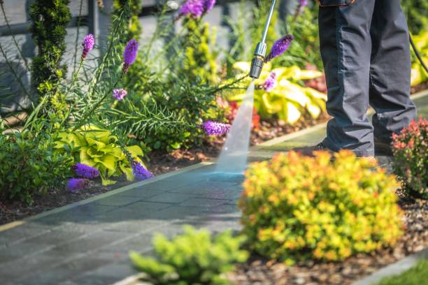 Best Gutter Cleaning and Brightening in Denmark, WI