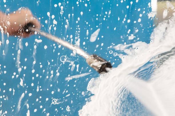 Best Roof Cleaning and Mildew Removal in Denmark, WI