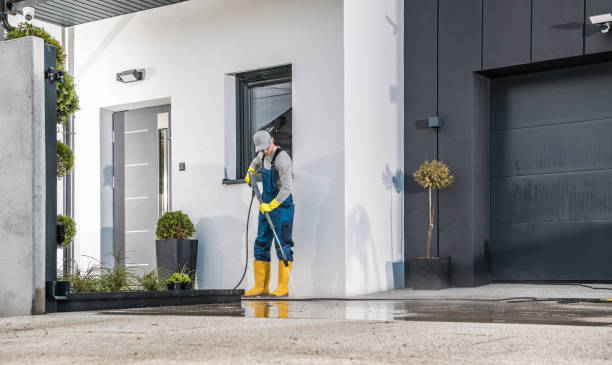 Best Window and Screen Pressure Cleaning in Denmark, WI